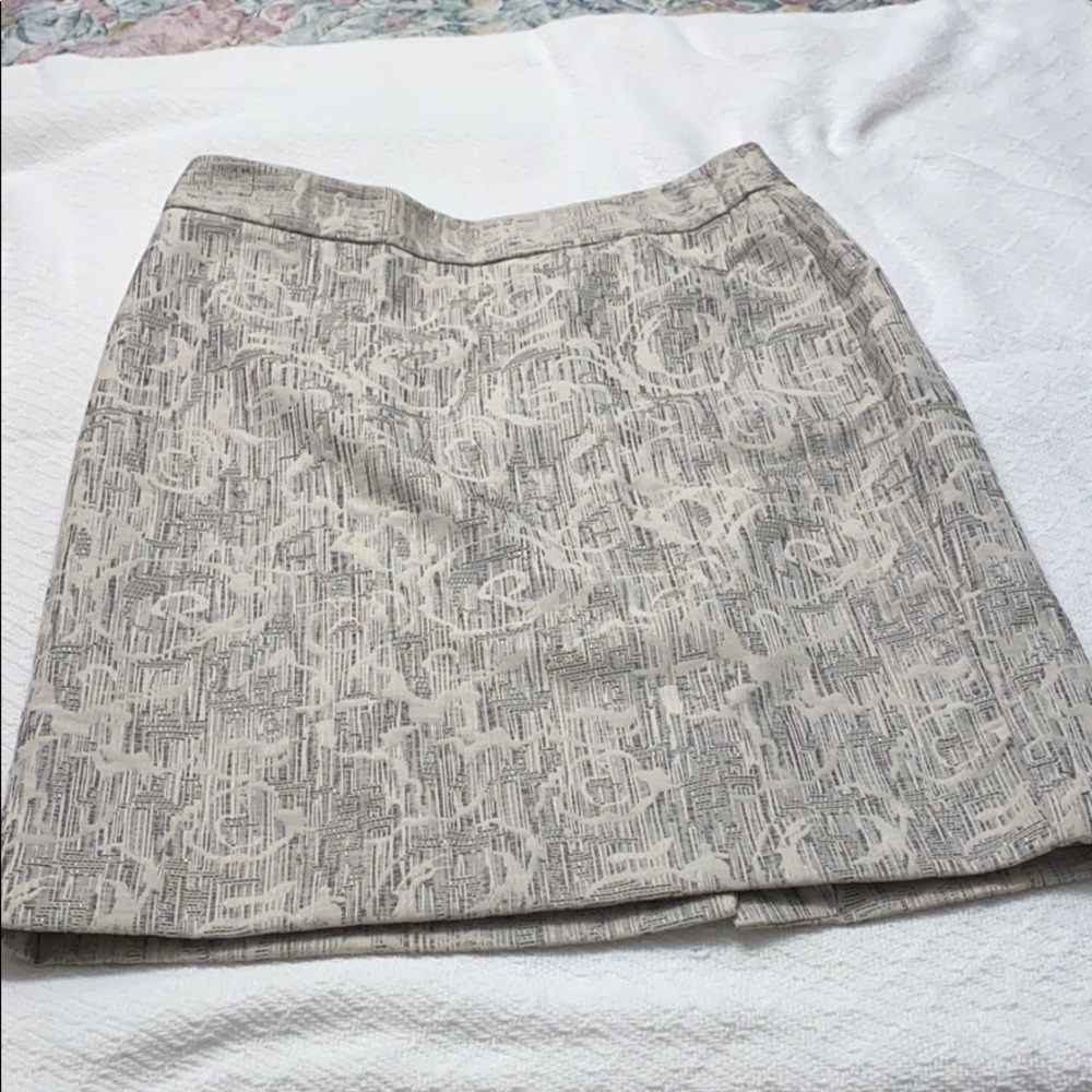 Ann Taylor skirt